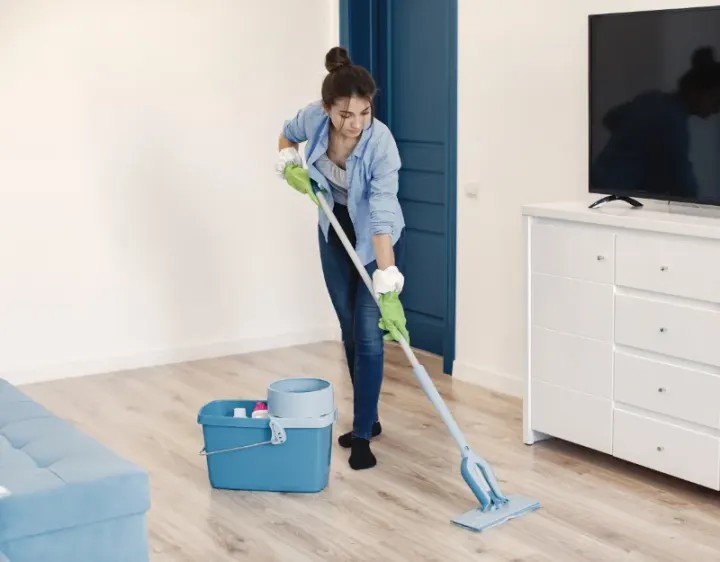 Femme de ménage Wattwiller